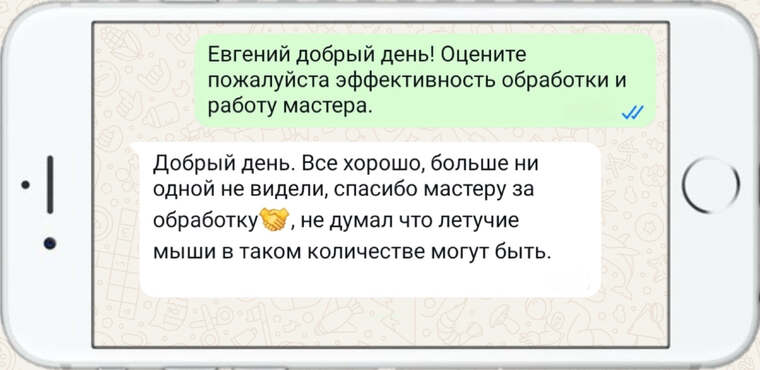 дезинфекция земельных участков и жилых помещений - фото №3