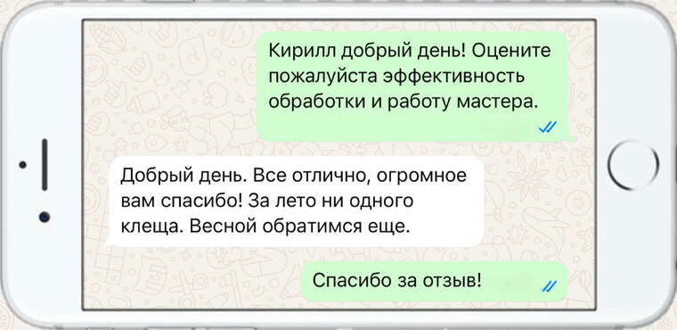 лечение деревьев от насекомых вредителей - фото №9