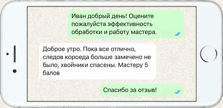 лечение деревьев от насекомых вредителей - фото №14