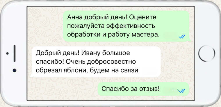 лечение деревьев от насекомых вредителей - фото №15