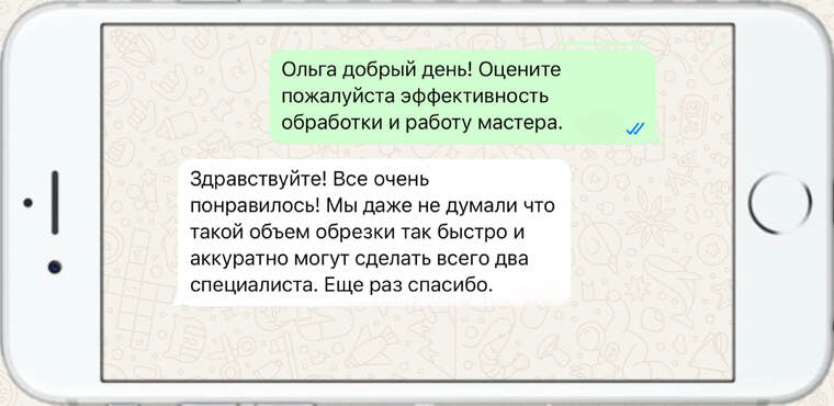 лечение деревьев от насекомых вредителей - фото №17
