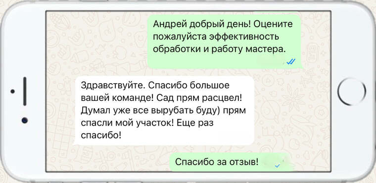 лечение деревьев от насекомых вредителей - фото №23