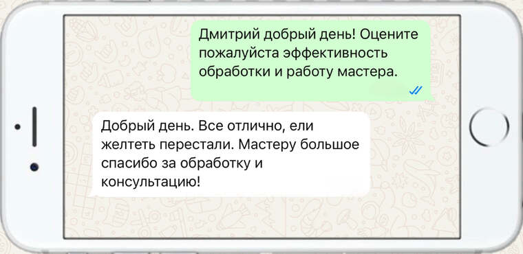 лечение деревьев от насекомых вредителей - фото №24